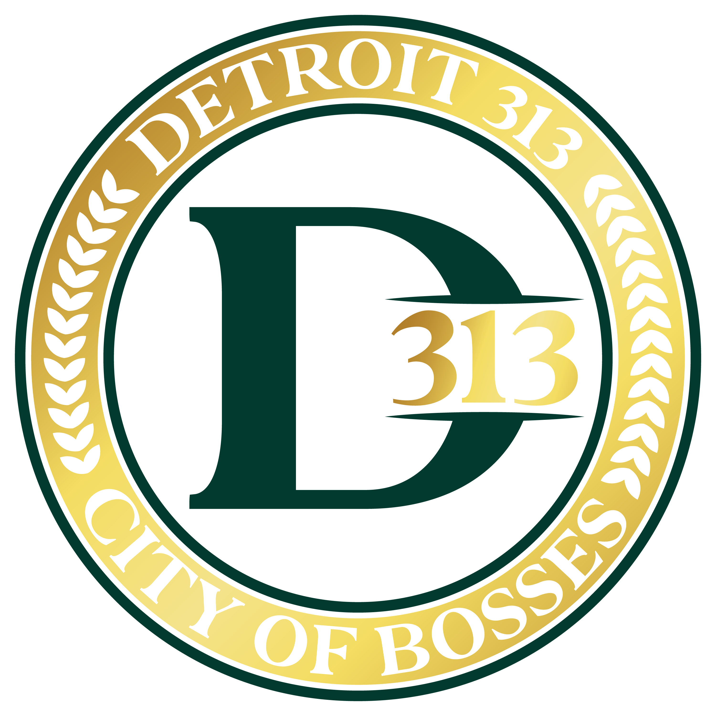 Detroit313 Clothing LLC
